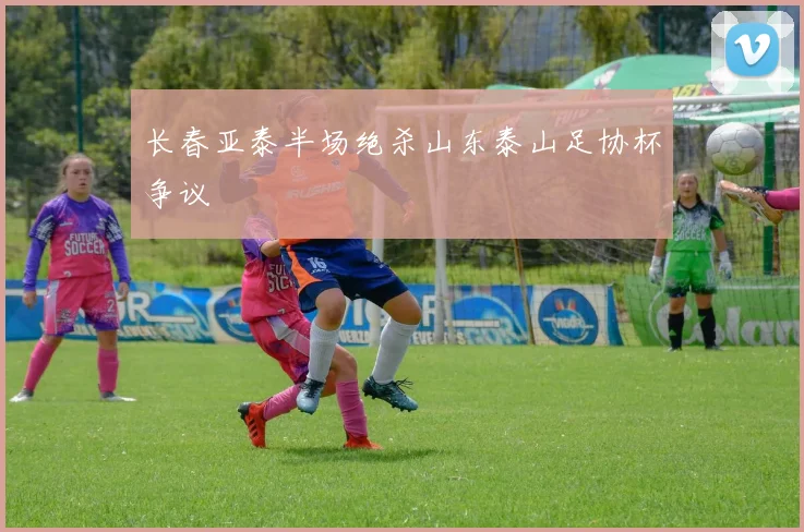 长春亚泰半场绝杀山东泰山足协杯争议
