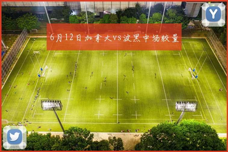 6月12日加拿大vs波黑中场较量