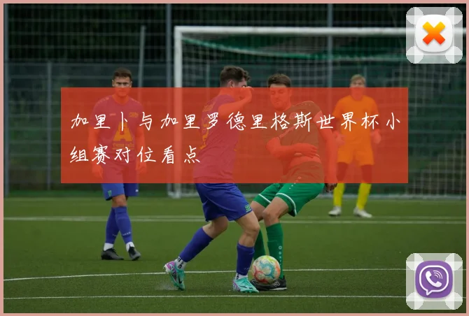 加里卜与加里罗德里格斯世界杯小组赛对位看点