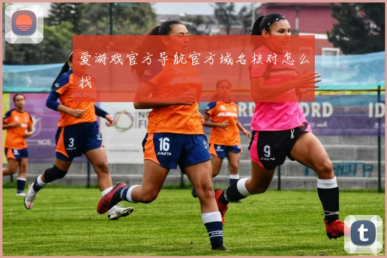 爱游戏官方导航官方域名核对怎么找