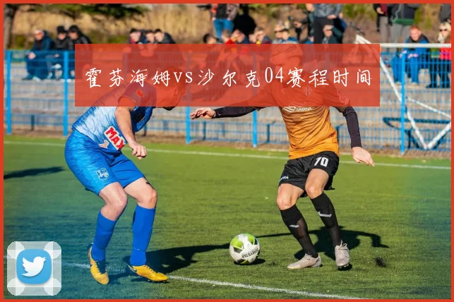 霍芬海姆vs沙尔克04赛程时间