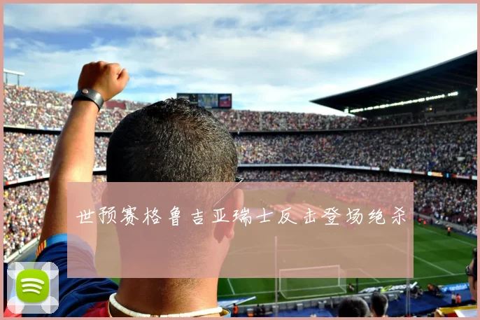 世预赛格鲁吉亚瑞士反击登场绝杀